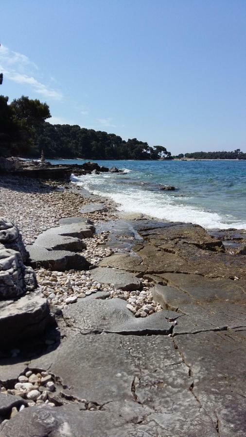 Apartment Rosemary Rovinj