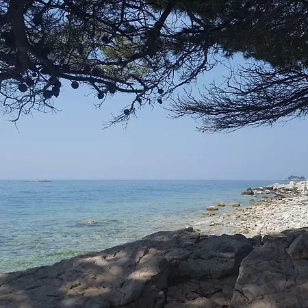 Studio Apartment Rosemary Rovinj Buitenkant foto