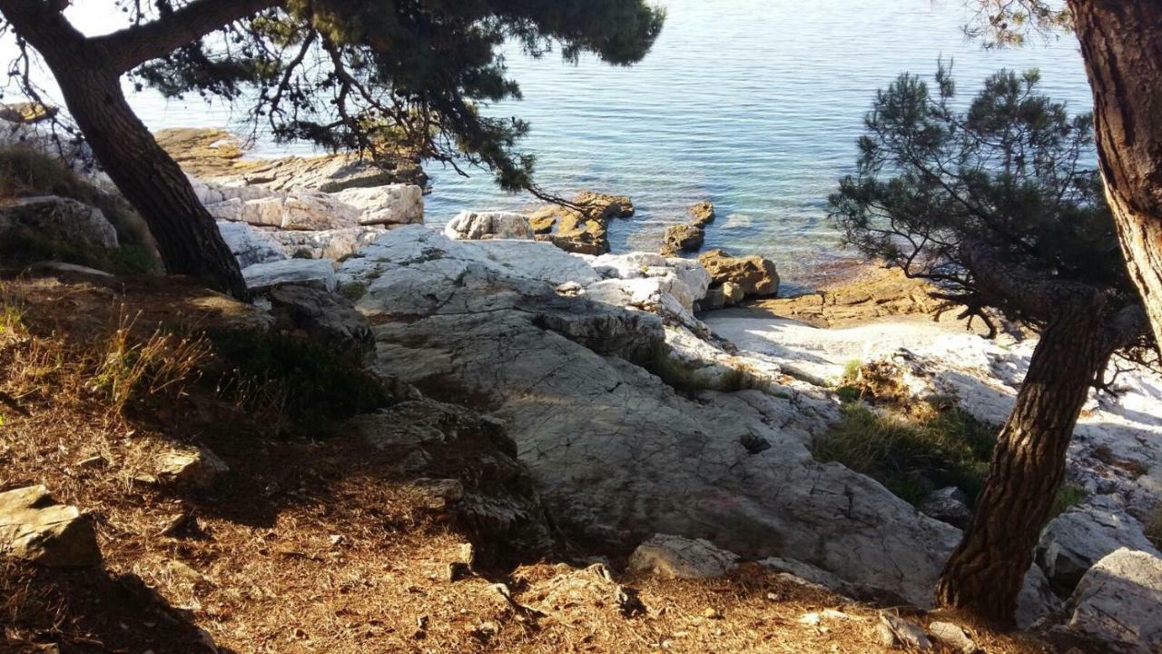 Rosemary Apartment Rovinj